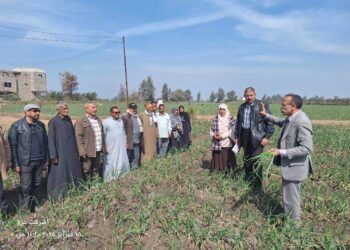 زراعة الشرقية