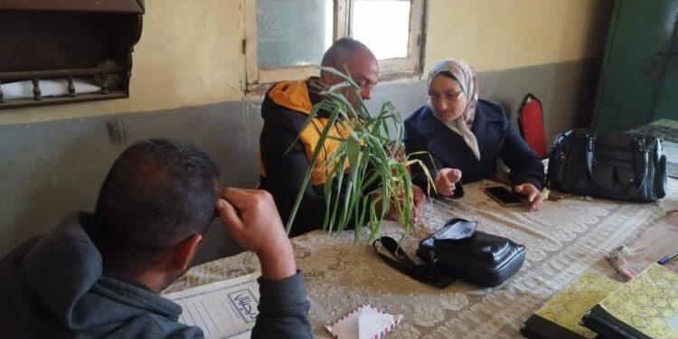 «زراعة الغربية» تعقد 6 ندوات إرشادية ..و8 فرق بحثية للمحاصيل الشتوية 1 زراعة الغربية