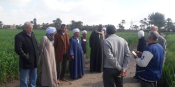 3 فرق إرشادية لمحاصيل القمح والخضر والنباتات الطبية والعطرية بـ«زراعة الفيوم » 5 زراعة الفيوم
