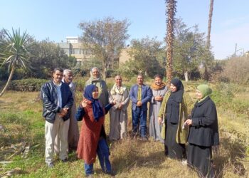 زراعة المنيا