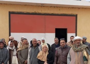 زراعة بورسعيد