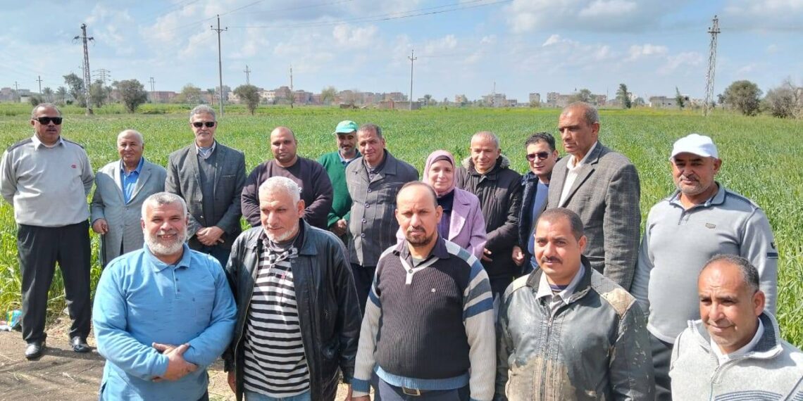 «ِزراعة دمياط»: فريق إرشادي و زيارة حقلية لمحصول القمح..وإزالة التعديات على الأراضي 1 زراعة دمياط