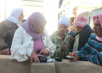 زراعة دمياط