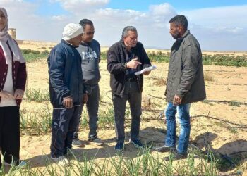 زراعة السويس