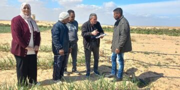 زيارة حقلية لمحصولى البصل والبسلة بـ«زراعة السويس» 6 زراعة السويس