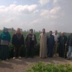 زراعة الشرقية