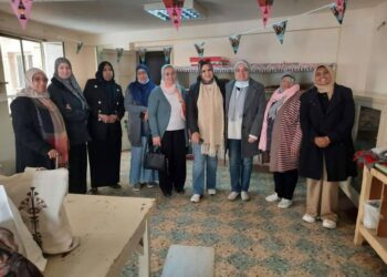 زراعة الإسكندرية