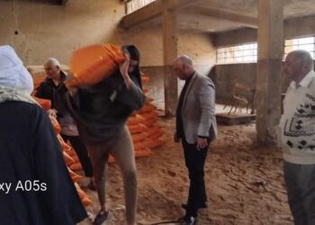 زراعة المنيا