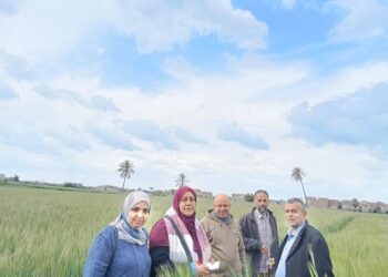 زراعة الشرقية