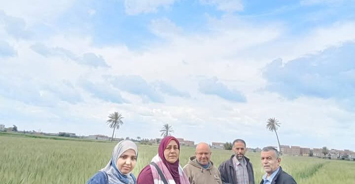 زراعة الشرقية