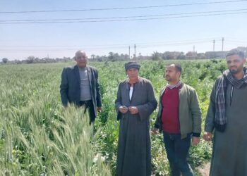 زراعة أسيوط