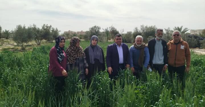 «زراعة شمال سيناء» تقوم بالمرور على الزراعات ومعالي بيع المبيدات 1 زراعة شمال سيناء