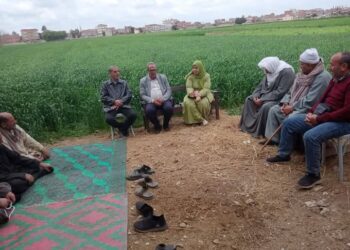 زراعة الشرقية