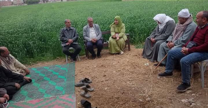 «زراعة الشرقية » 3 توصيات هامة لمزارعي القمح خلال شهر مارس 1 زراعة الشرقية