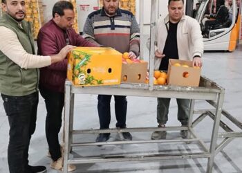 المنسي يوجه بتكثيف الرقابة على الصادرات الزراعية