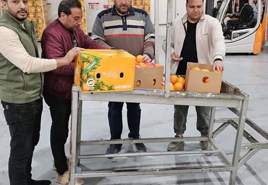 «المنسي»يوجه لجنة التفتيش والمتابعة بتكثيف الرقابة محطات التصدير 1 المنسي يوجه بتكثيف الرقابة على الصادرات الزراعية