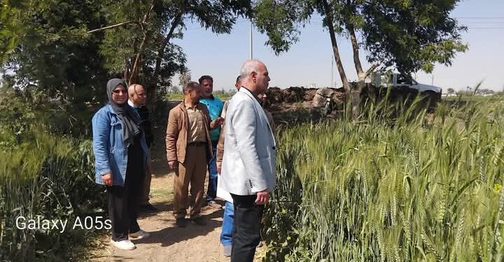 «زراعة المنيا » تطالب المزارعين بمتابعة حقولهم.. وإبلاغ الجمعية الزراعية عند الإصابة بالآفات 1 زراعة المنيا