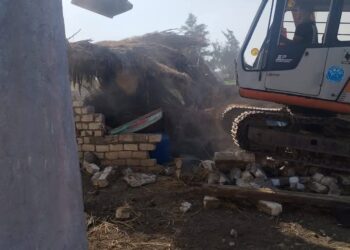 زراعة كفر الشيخ