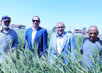 زراعة الإسماعيلية