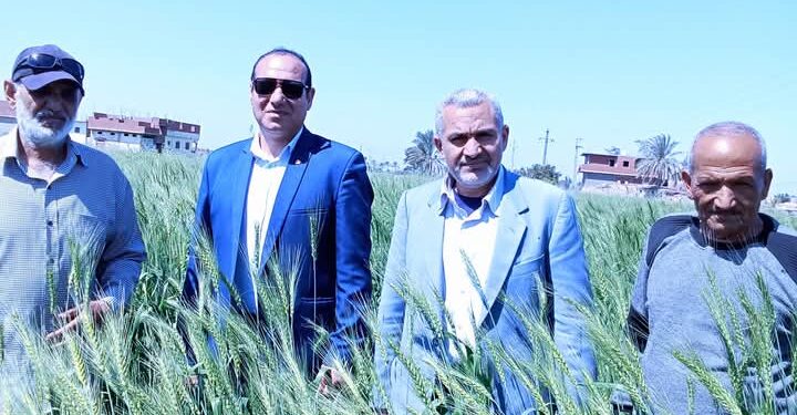 «زراعة الإسماعيلية» توجه الإدارات الزراعية بسرعة الانتهاء من الحصر الصيفي 1 زراعة الإسماعيلية