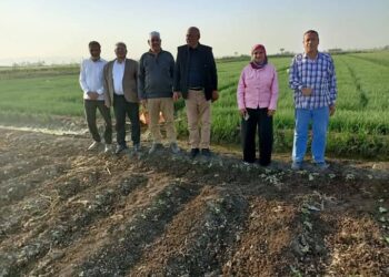 زراعة أسيوط