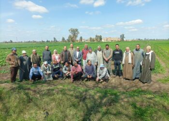 المراكز الإرشادية