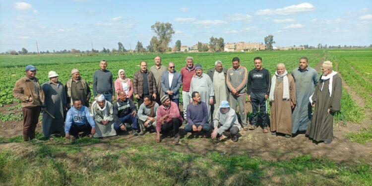 المراكز الإرشادية
