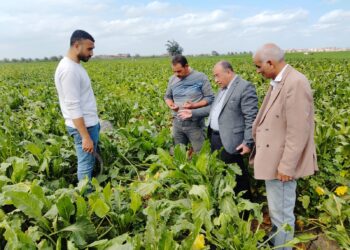 زراعة البحيرة