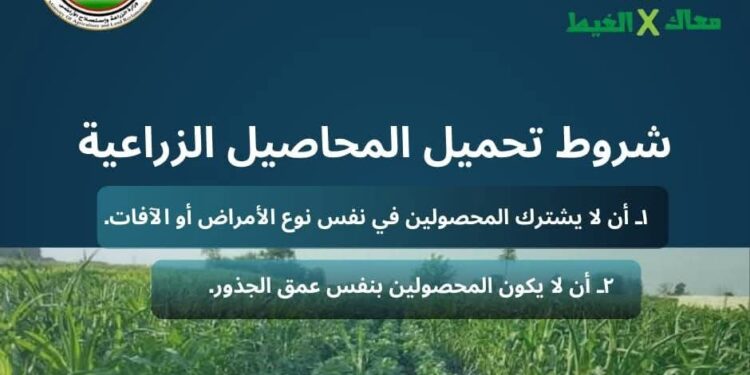 «معاك في الغيط» لـ«الفلاحين»: 4 فوائد لتحميل المحاصيل وشرطين للزراعة 1 معاك في الغيط