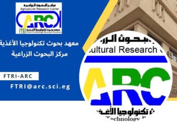 تكنولوجيا الأغذية