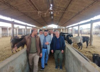 البحوث الزراعية