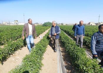 البحوث الزراعية