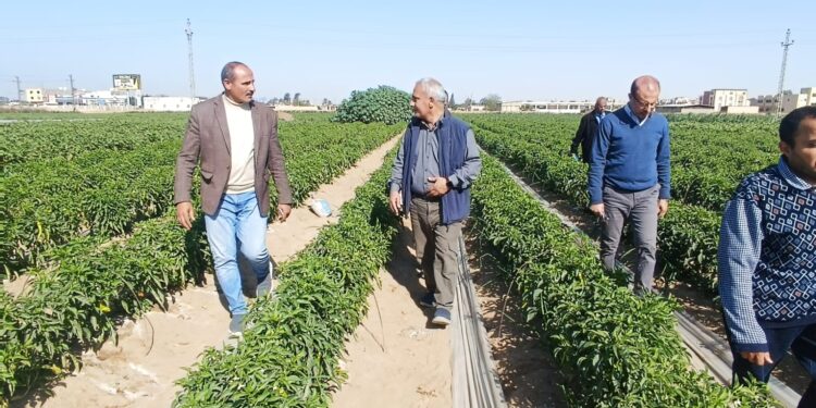 وكيل البحوث الزراعية يتفقد محطات البحوث بالشرقية والإسماعيلية 1 البحوث الزراعية