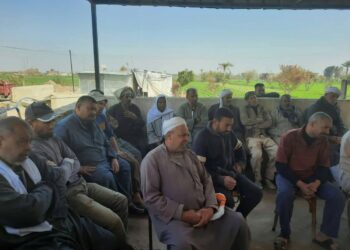 الزراعة تقدم الدعم الفني والبرامج الإرشادية للمزارعين بمحافظة الإسكندرية