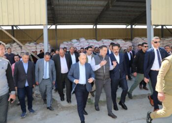 وزير الزراعة ورئيس جهاز مستقبل مصر ومحافظة كفر الشيخ يتفقدون عدد من الأنشطة الزراعية بالمحافظة