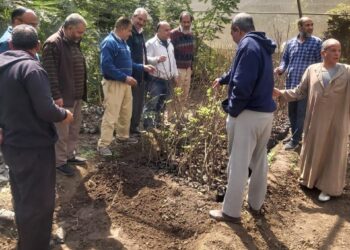 البحوث الزراعية