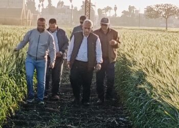 وكيل البحوث الزراعية للإنتاج يتفقد الأنشطة البحثية والإرشادية بمحطة بحوث سدس