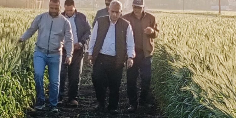 وكيل البحوث الزراعية للإنتاج يتفقد الأنشطة البحثية والإرشادية بمحطة بحوث سدس 1 وكيل البحوث الزراعية للإنتاج يتفقد الأنشطة البحثية والإرشادية بمحطة بحوث سدس