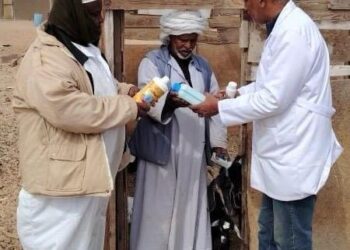 “بحوث الصحراء” ينظم قافلة بيطرية لتحسين الثروة الحيوانية في حلايب ورأس حدربة وأبورماد