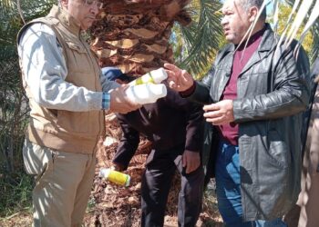 بحوث الصحراء