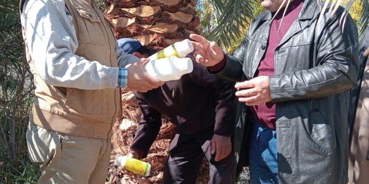 بحوث الصحراء