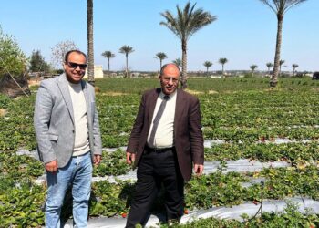 زراعة البحيرة