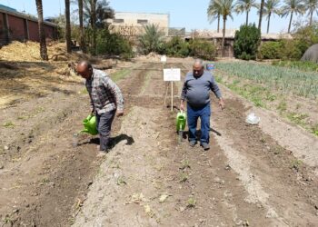 المركزي للزراعة العضوية