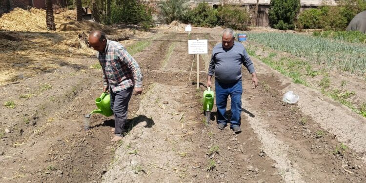 «المركزي للزراعة العضوية» يطلق فعاليات المرحلة الثانية للتجارب الميدانية لتقييم المبيدات الحيوية 1 المركزي للزراعة العضوية