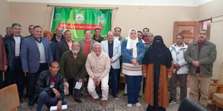 بدء استعدادات موسم زراعة القطن 2025