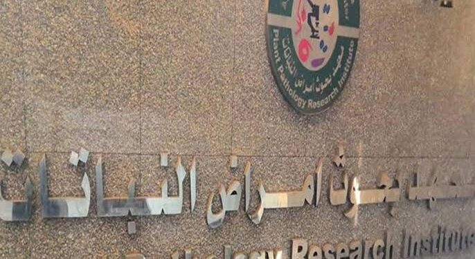 أمراض النباتات