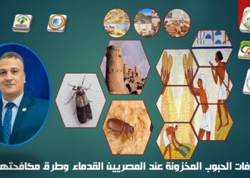 آفات الحبوب المخزونة