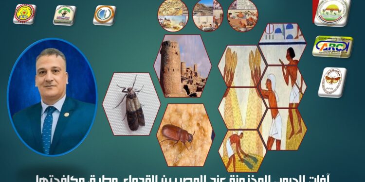 آفات الحبوب المخزونة