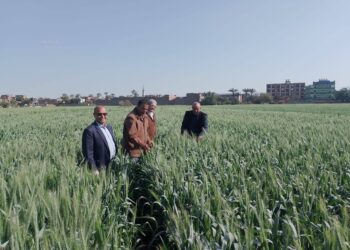 زراعة أسيوط