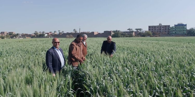 زراعة أسيوط